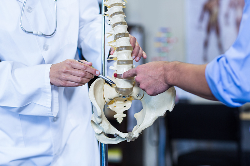 Physiotherapist showing the spine model to patient